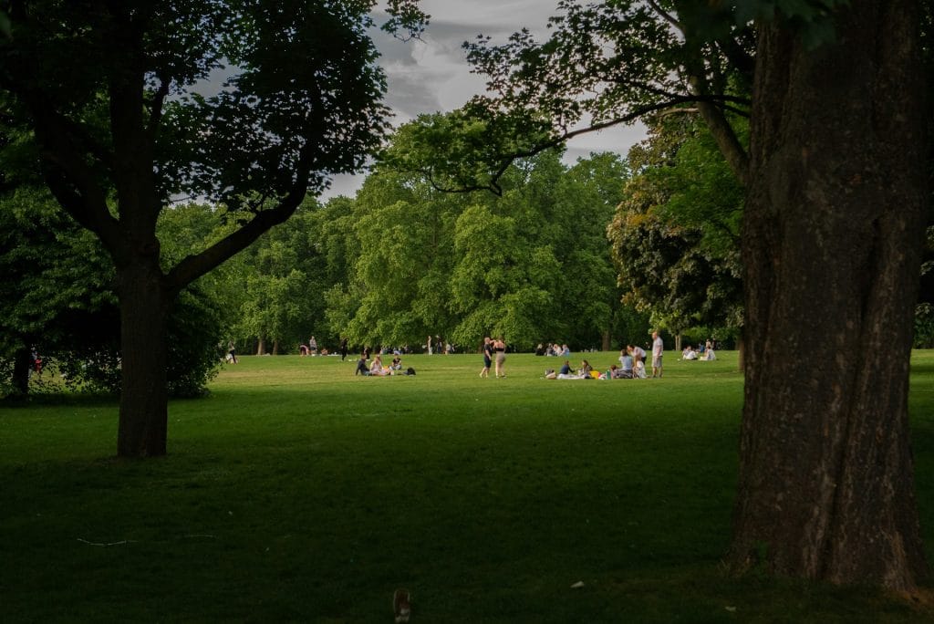 a group of people sitting on top of a lush green field
