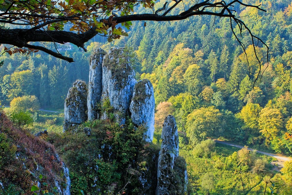 Ojcowski Park Narodowy