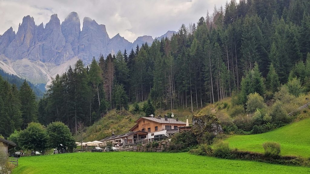 A green field with mountains in the background