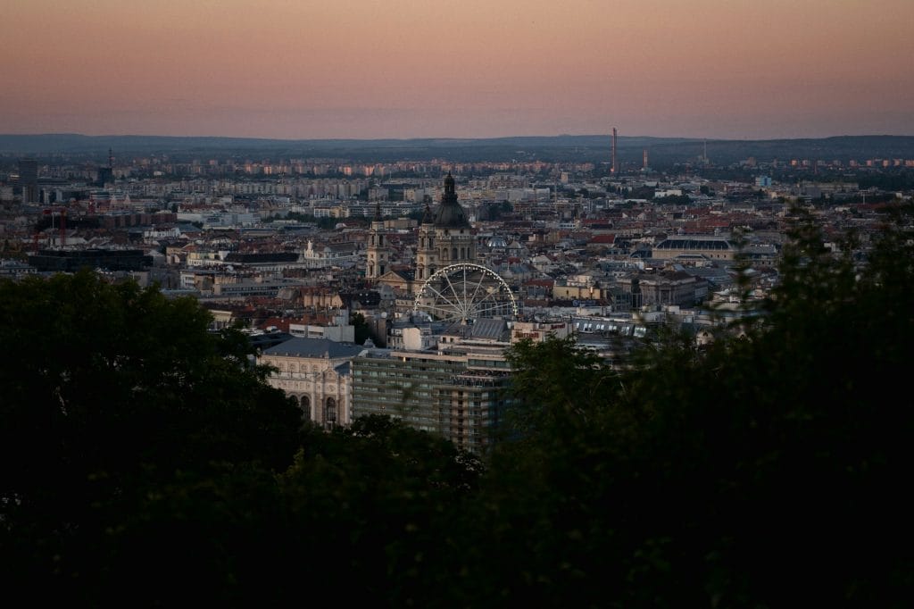 a view of a city with a ferris wheel in the distance