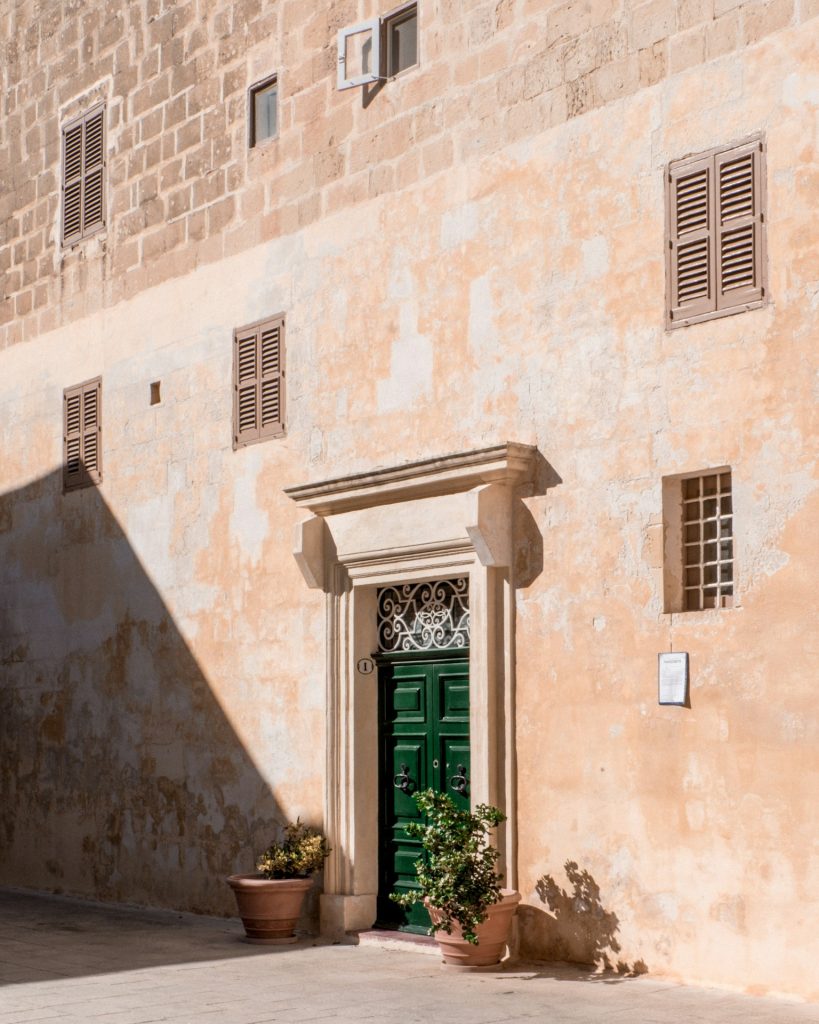 Mdina, green potted plant on window