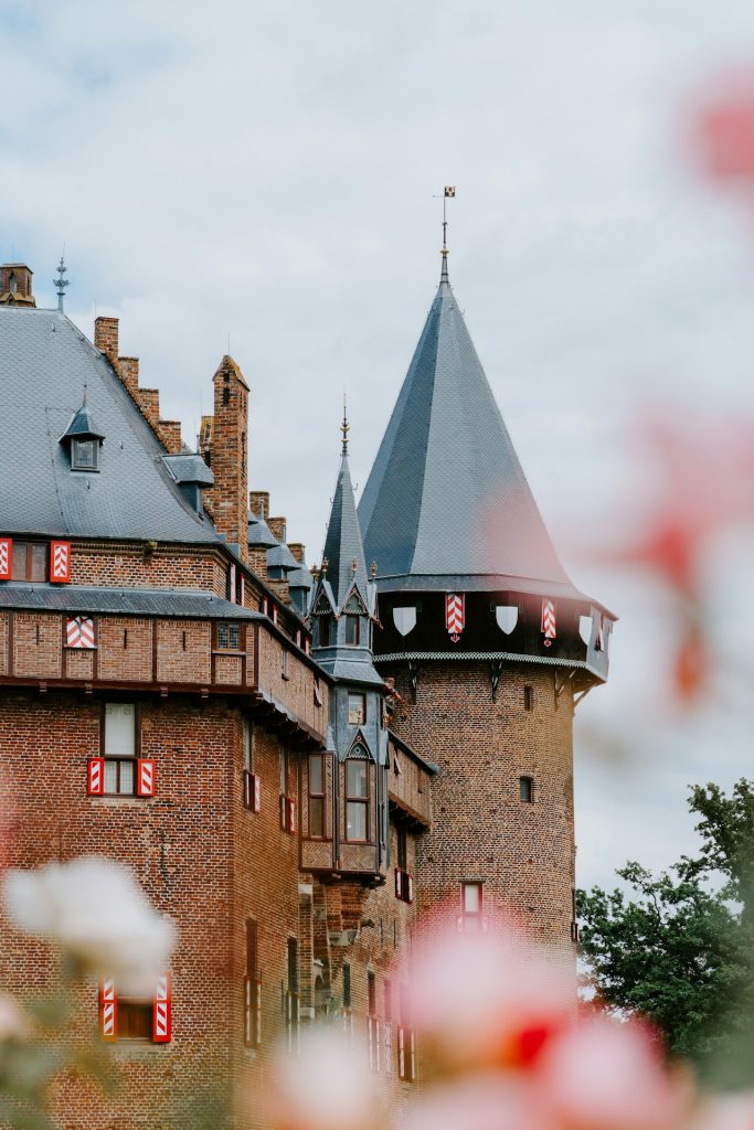 brown and blue building