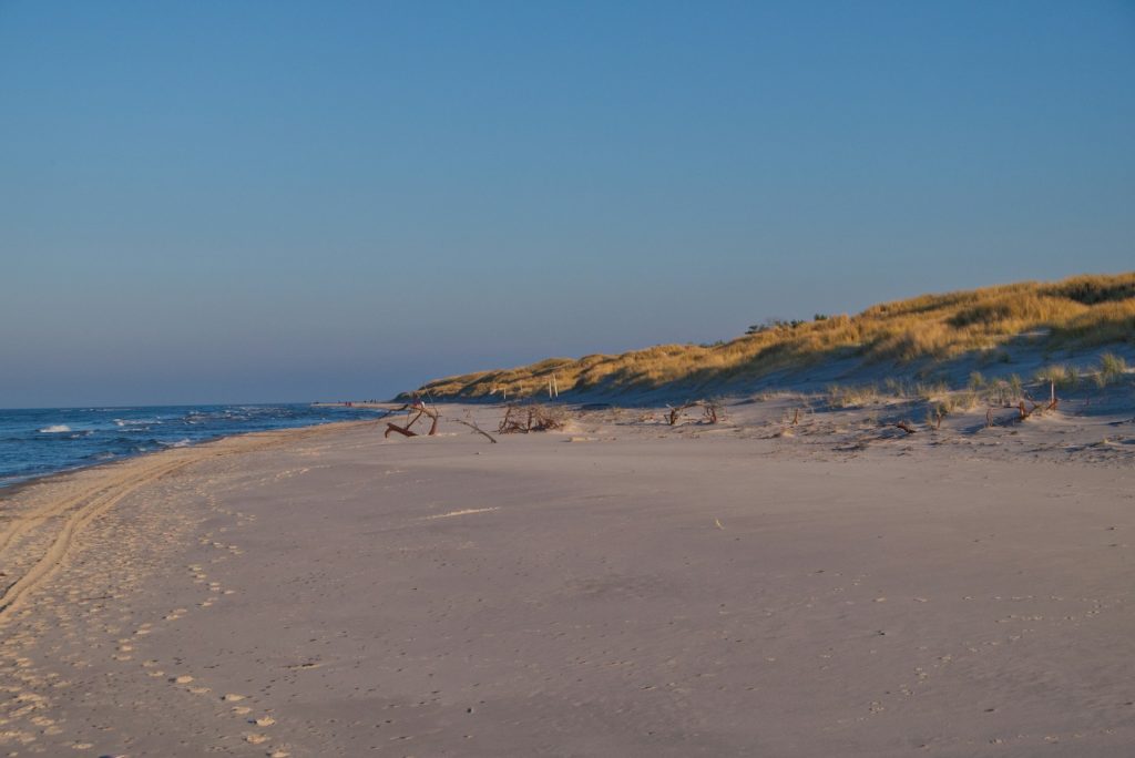 A sandy beach next to the ocean under a blue sky