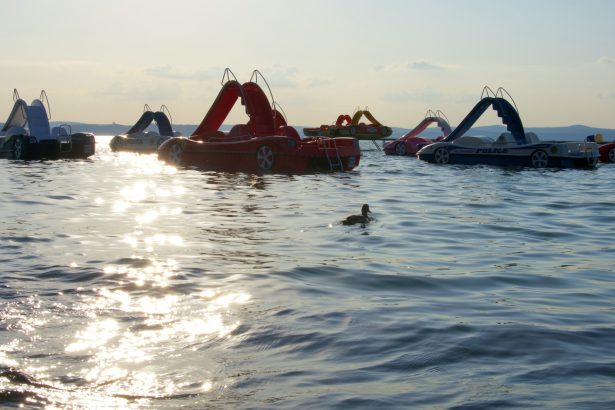 red and black kayak on sea during daytime