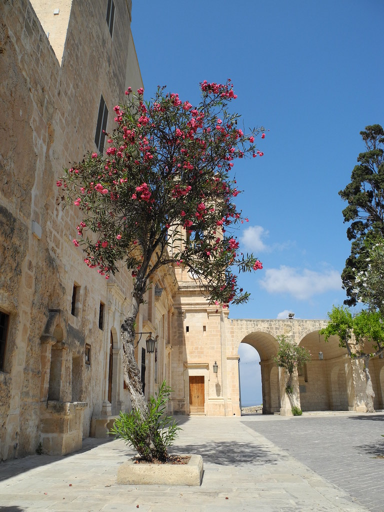 Mellieħa