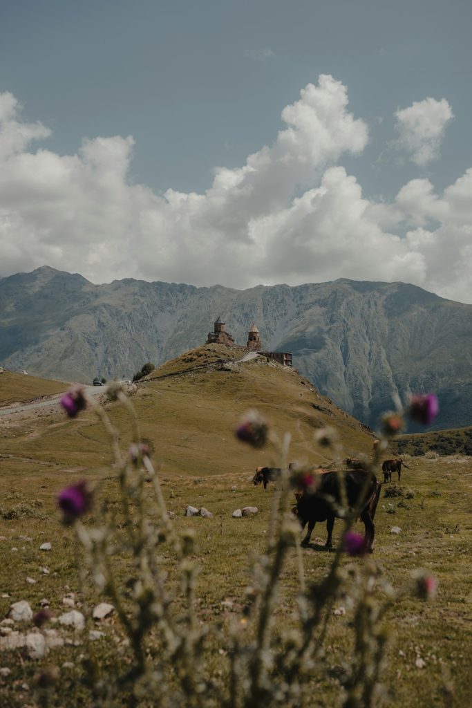 horses on green grass field near mountains under white clouds and blue sky during daytime