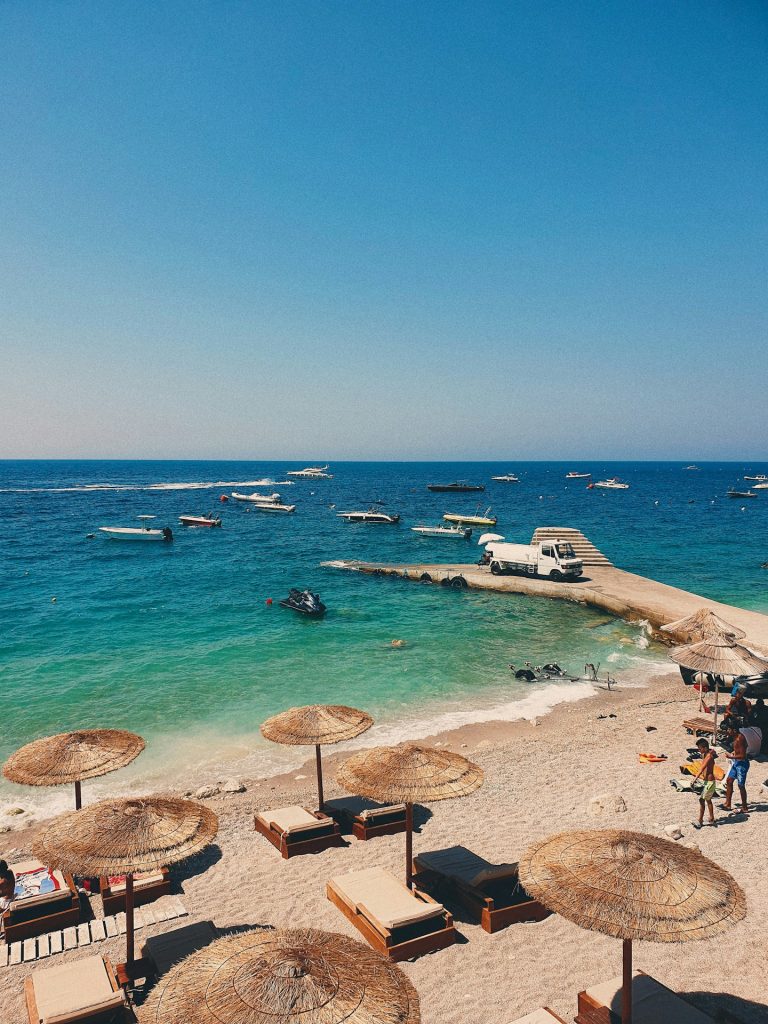 people on beach during daytime