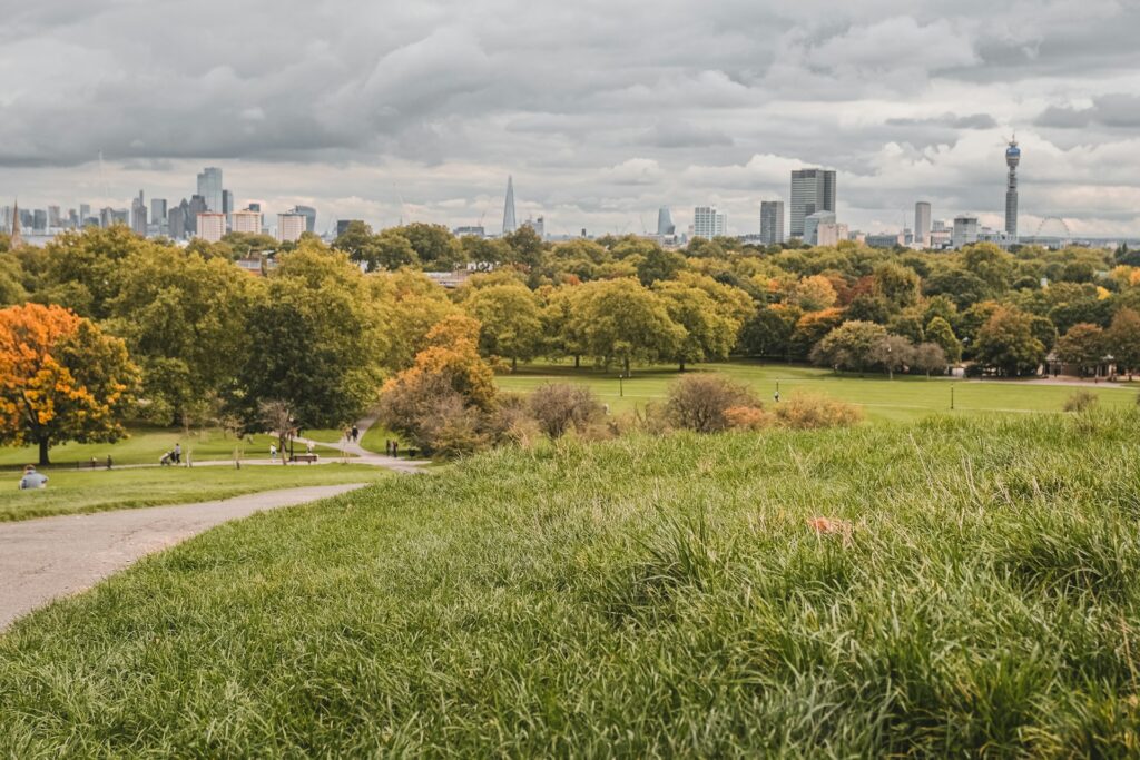 A view of a park with trees and buildings in the background