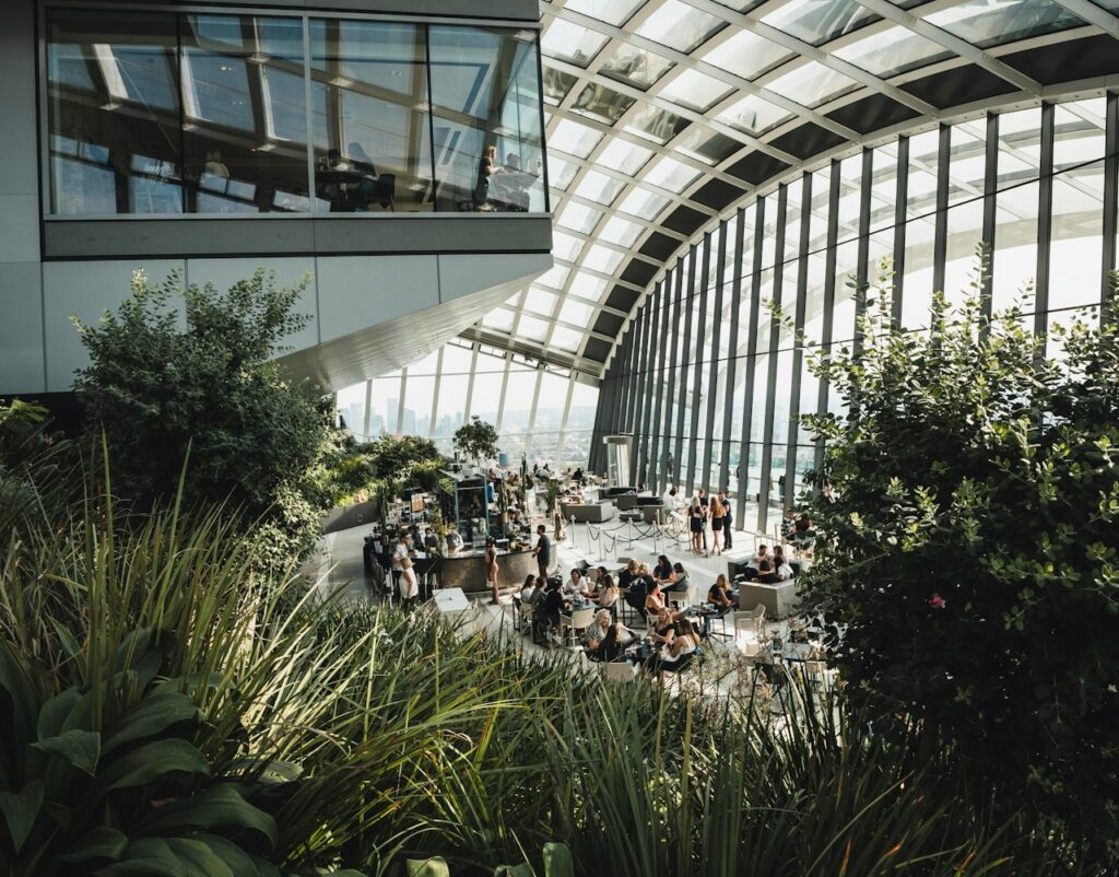 green plants inside a building