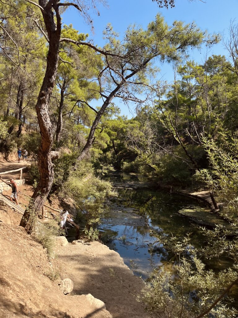 Seven Springs, Rodos