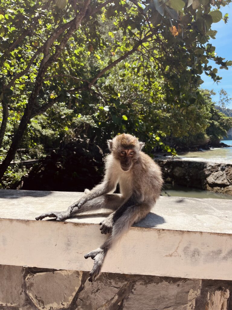 Monkey Trail, Ao Nang
