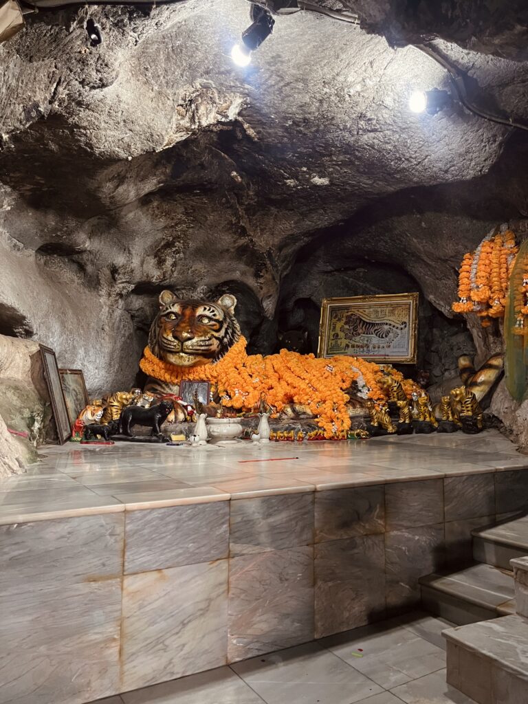 Tiger Cave