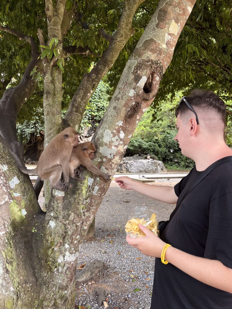 Monkey Temple