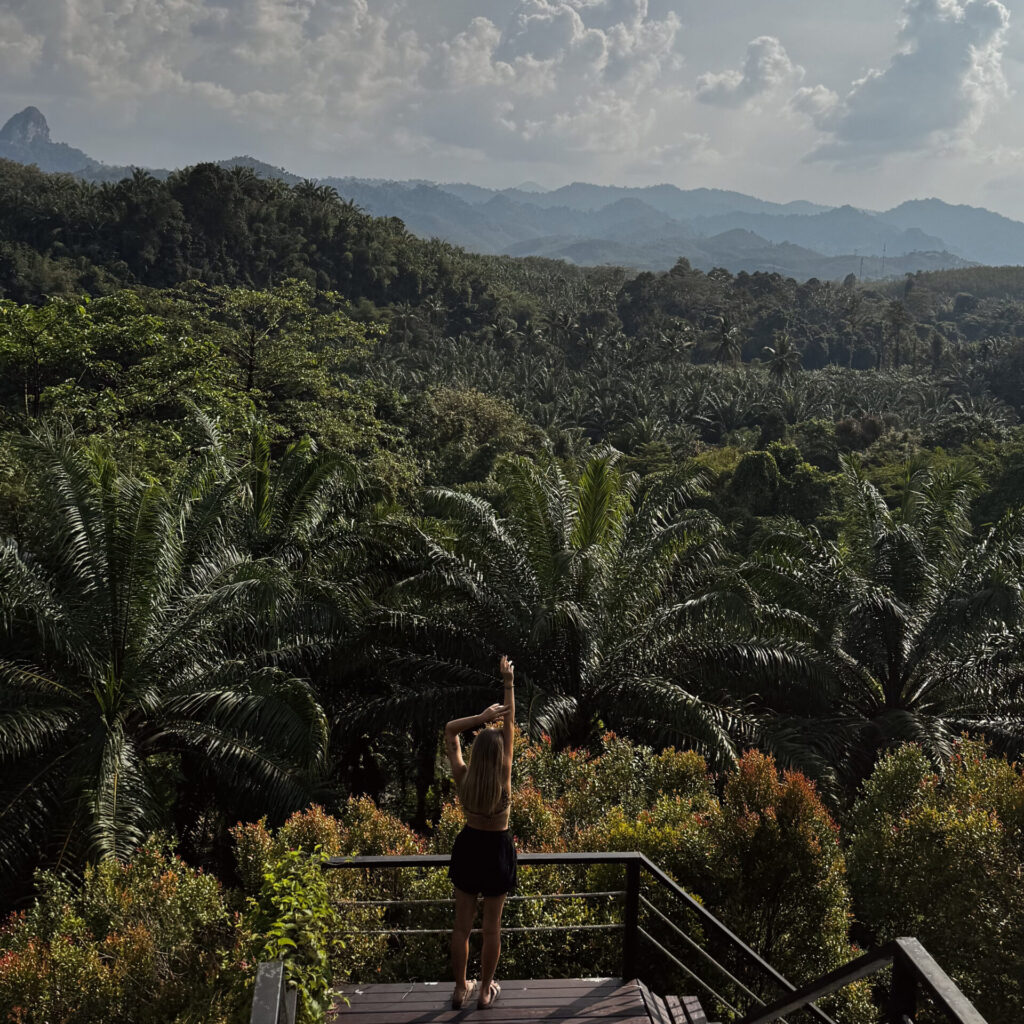 widok z domku w dżungli Khao Sok