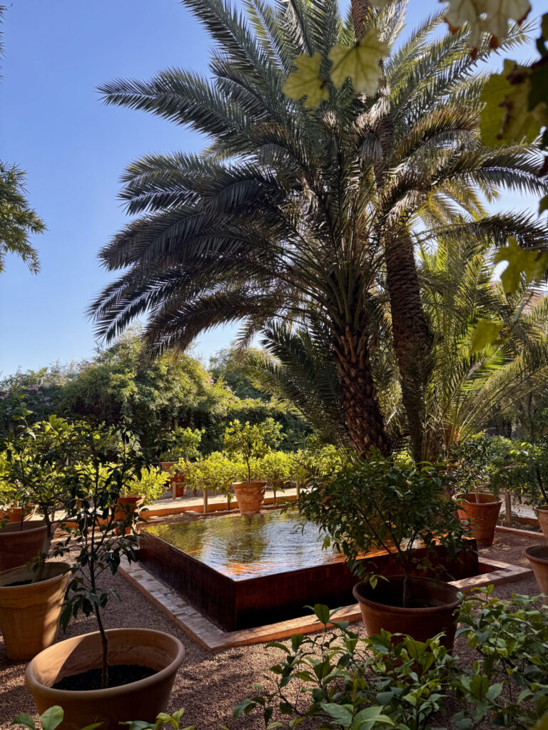 Jardin Majorelle, Marrakesz