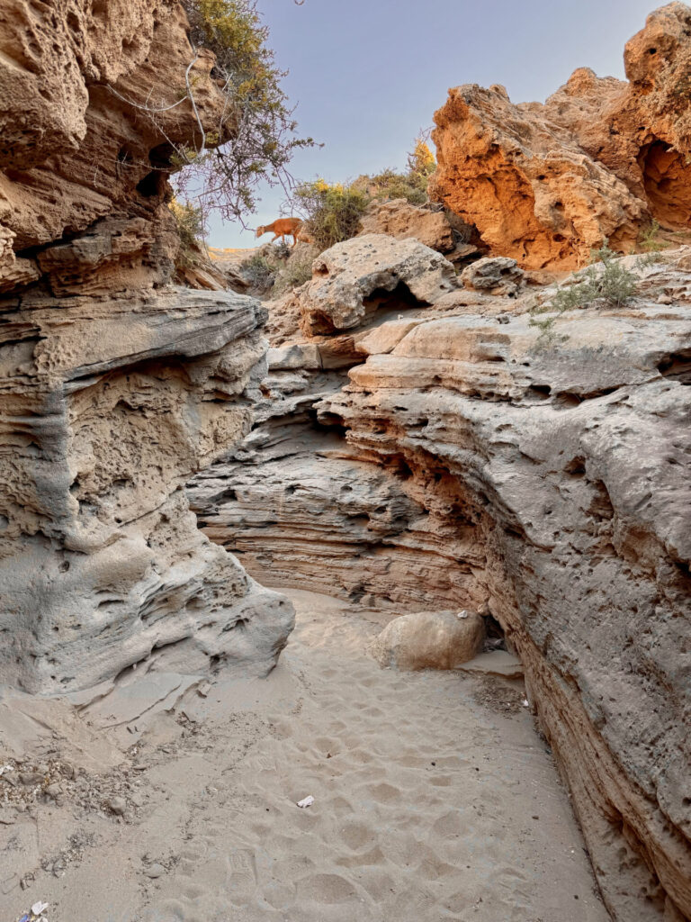 Timlaline Canyon
