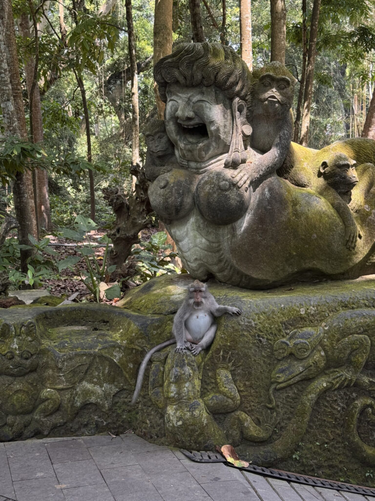 Małpi Las Ubud