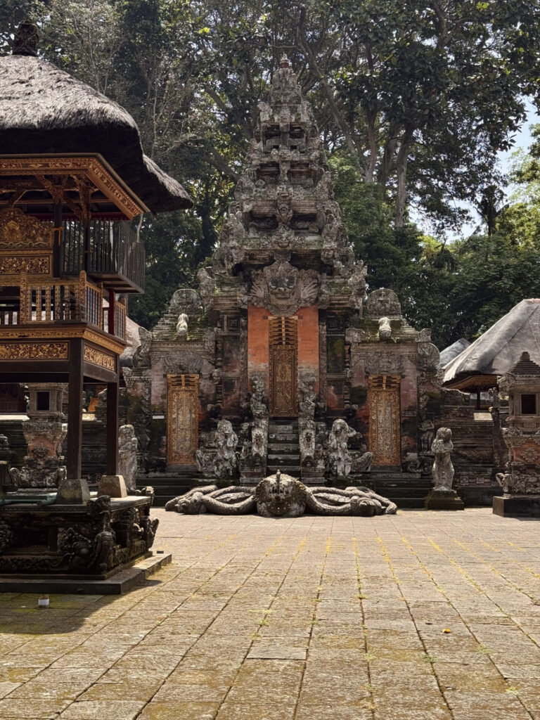 Małpi Las Ubud